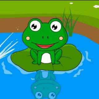 小青蛙🐸的故事