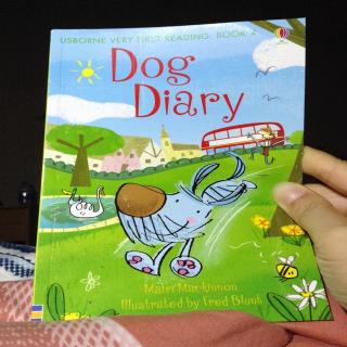 dog diary