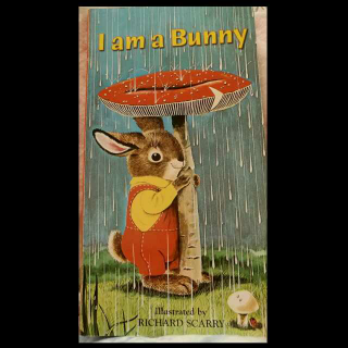 I am bunny