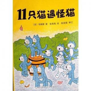 【荔枝姐姐讲故事】19.《11只猫遇怪猫》