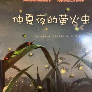 蒲公英科学绘本系列—仲夏夜的萤火虫