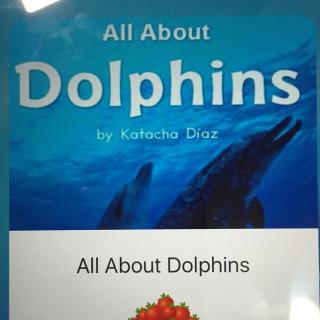 all about dolphin
