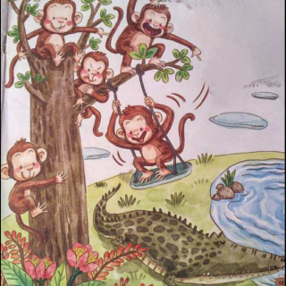 猴子和鳄鱼的故事