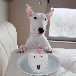 给我的女儿梅茜生日快乐文张嘉佳