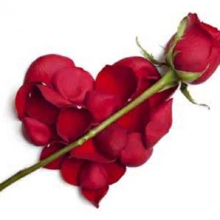 爱一朵玫瑰，就要包容它的刺