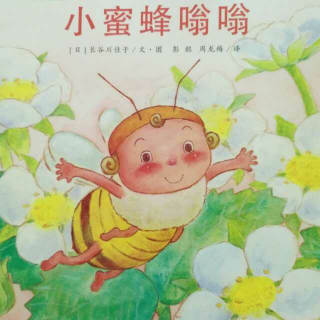 小蜜蜂嗡嗡～橙子宝宝讲故事