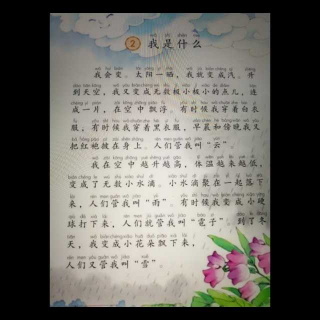 我是什么一纤纤读书0708