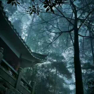 暴雨之后/梦在深巷