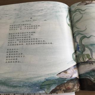 程启诗与故事9～鱼