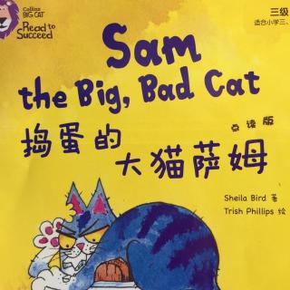 sam，the big bad cat