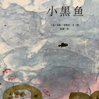 兔兔老师讲故事~小黑鱼