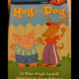 hog and dog
