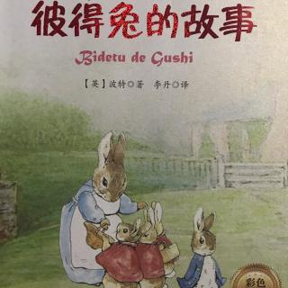 雁子妈妈讲故事《彼得兔的故事》（一）