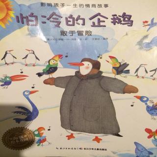 怕冷的企鹅🐧—敢于冒险