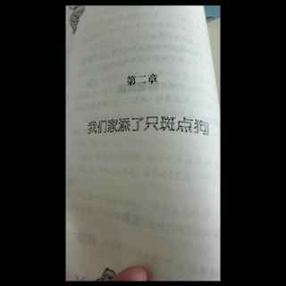 《班级宠物一家亲》第二章