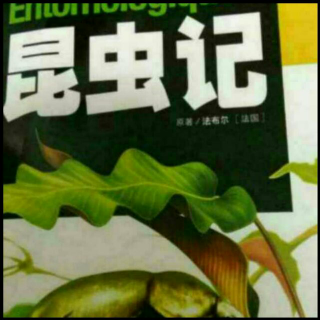 昆虫记第十二章