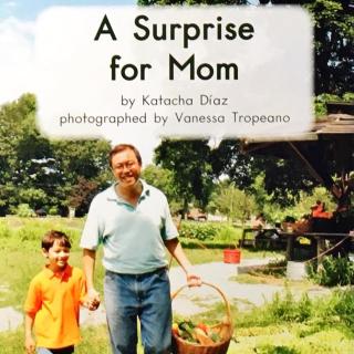 G1 book78 A surprise for Mom