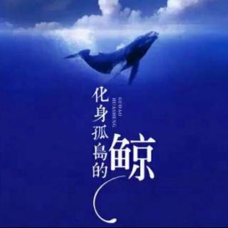冰韵汐-化身孤岛的鲸（cover：不才）