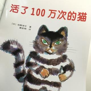 活了100万次的猫