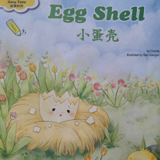 Egg SheII 小蛋壳