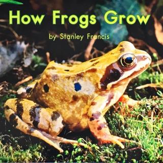 G1 book79 How frogs grow