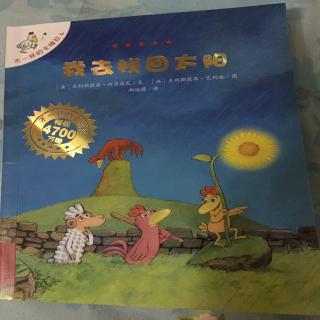 我去找回太阳