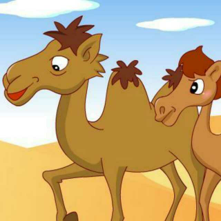睡前故事  33《爱美的小骆驼》