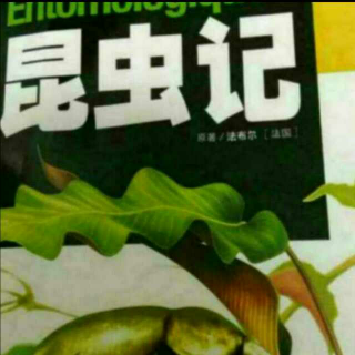 昆虫记第22章