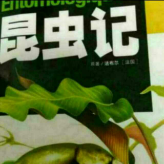 昆虫记第23章