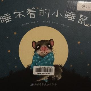 睡不着的小睡鼠