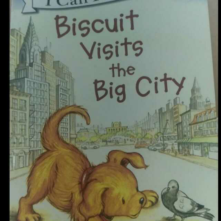 Biscuit visits the big city