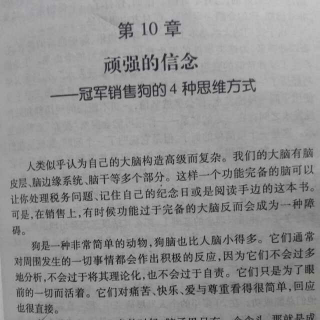 14-13第10章顽强的信念…冠军销售狗的4种思维方式