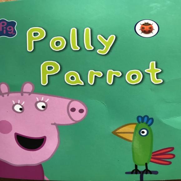 polly parrot(9~15)页