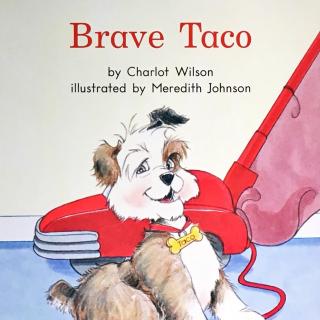 G1 book80 Brave taco