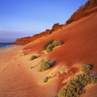 【Monday Story】第39期- Australian Desert