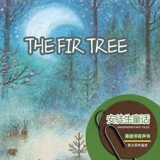 安徒生童话-枞树.THE FIR TREE（英文原声鉴赏）