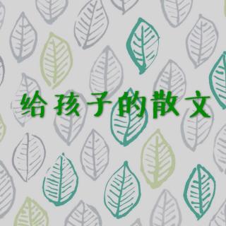 萌萌哒亲子散文赏读朱自清《匆匆》