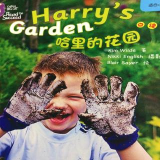 Harry’s Garden
