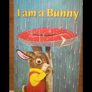 I am a bunny