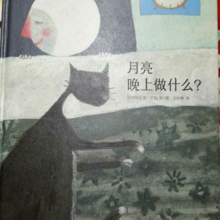 月亮🌙晚上做什么？