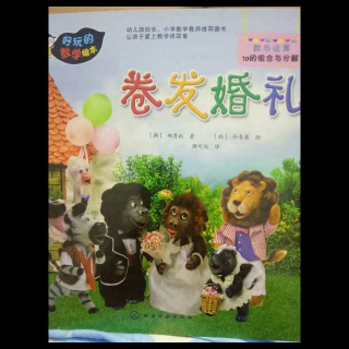 数学绘本《卷发婚礼》