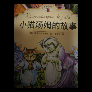 小猫🐱汤姆的故事