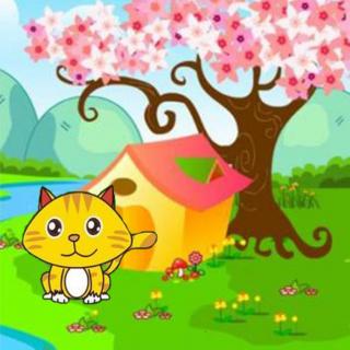 小花猫摘桃子