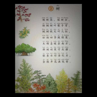 识字树一纤纤读书0712