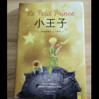 我是那只等爱的狐狸