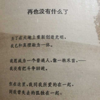 再也没有什么了