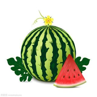 皮皮猴🙊——《大西瓜》🍉🍉