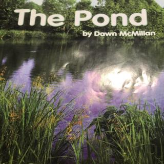 英文绘本—The pond