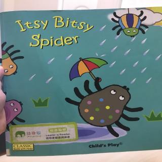 itsy busy spider-律动歌曲晚安幼稚绘