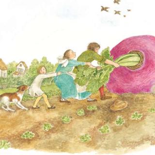 100个儿童英文故事集之Book 73“The Great Big Enormous Turnip”